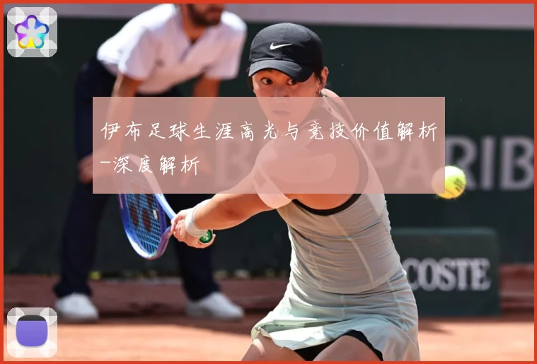 伊布足球生涯高光与竞技价值解析-深度解析