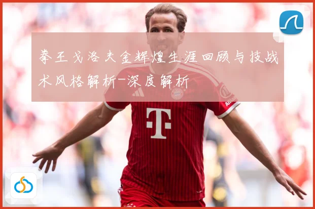 拳王戈洛夫金辉煌生涯回顾与技战术风格解析-深度解析