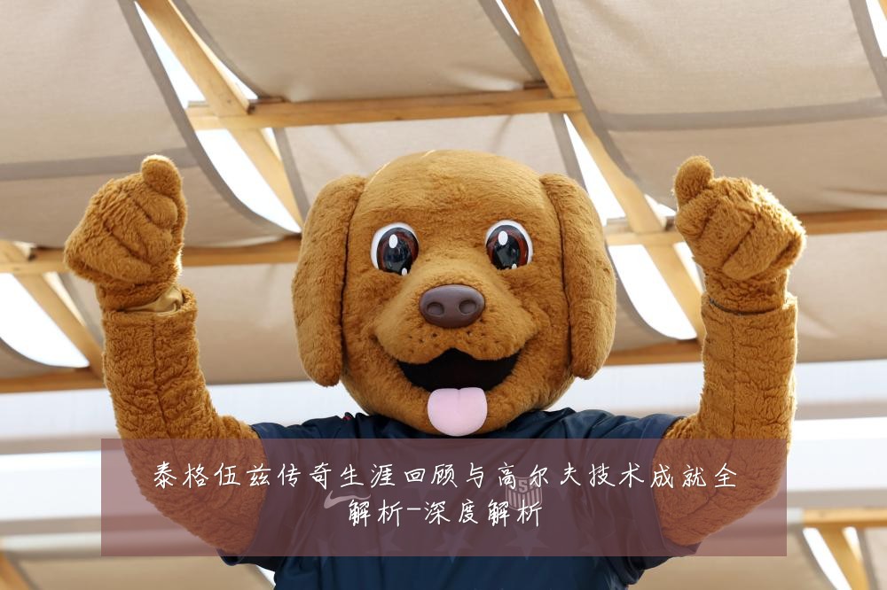 泰格伍兹传奇生涯回顾与高尔夫技术成就全解析-深度解析